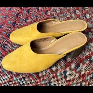 Mustard yellow mules